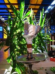 Shisa 3