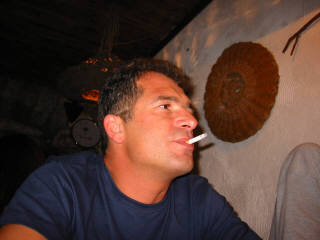 Harald